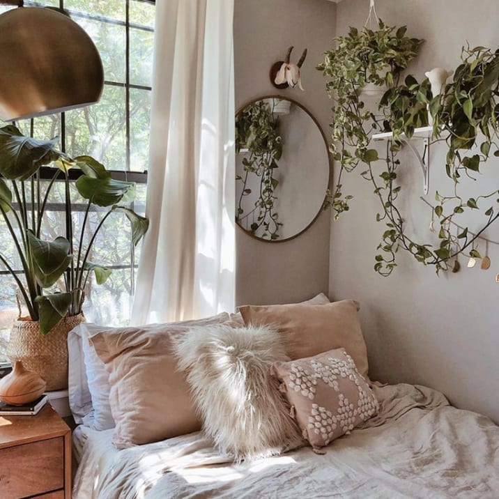 A range of plants including an ivy and a monstera close to a window in a bedroom