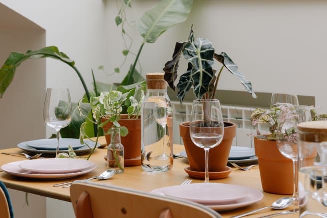 A set dining table in a kitchen with alocasia plants on it