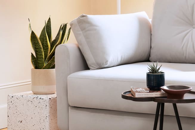 Snake plant in a cream ceramic pot sits on a side table next to a light grey sofa.