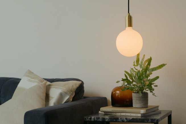 Blue star fern in a living room on a side table with a hanging orb bulb