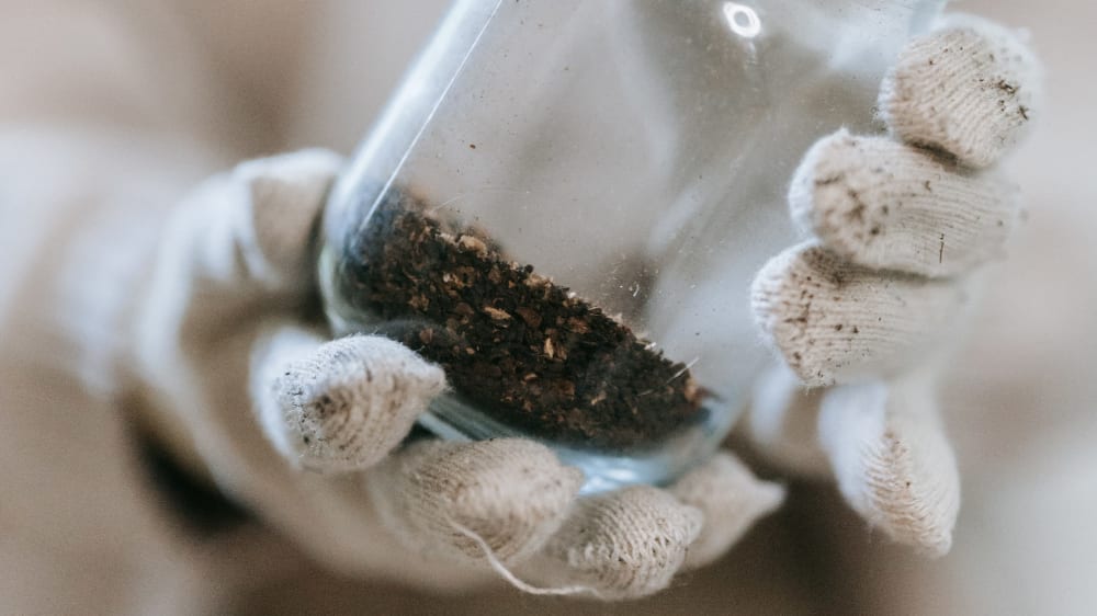 A close-up of a person wearing gloves holding a glass jar of soil