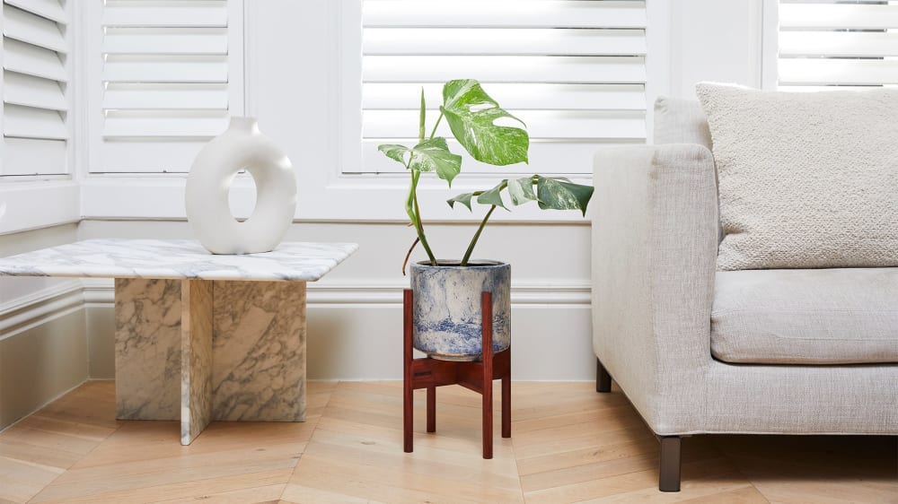 Varigated monstera in a blue fracture-patterned pot and plant stand in a living room window