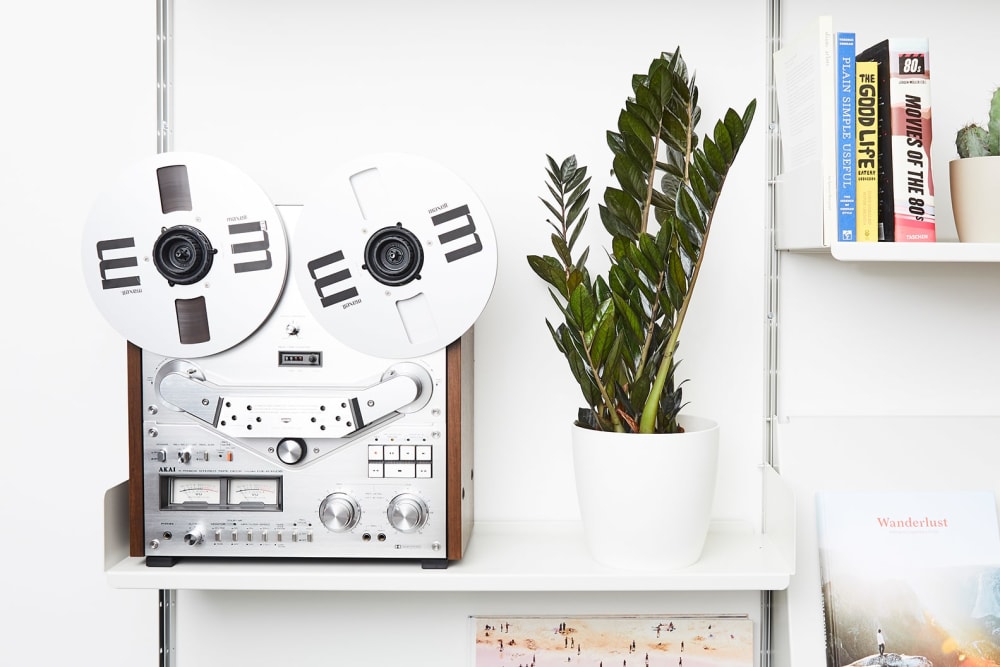 A zz plant in a white plastic pot on a sideboard in a home office