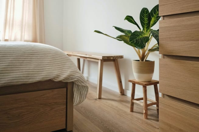 Dumb cane plant on a light wooden stool at the base of a bed