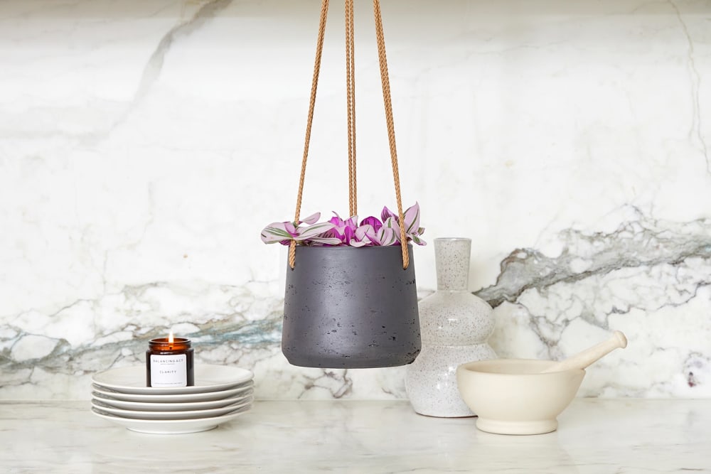 A tradescantia nanouk in a black clay hanging pot in a kitchen