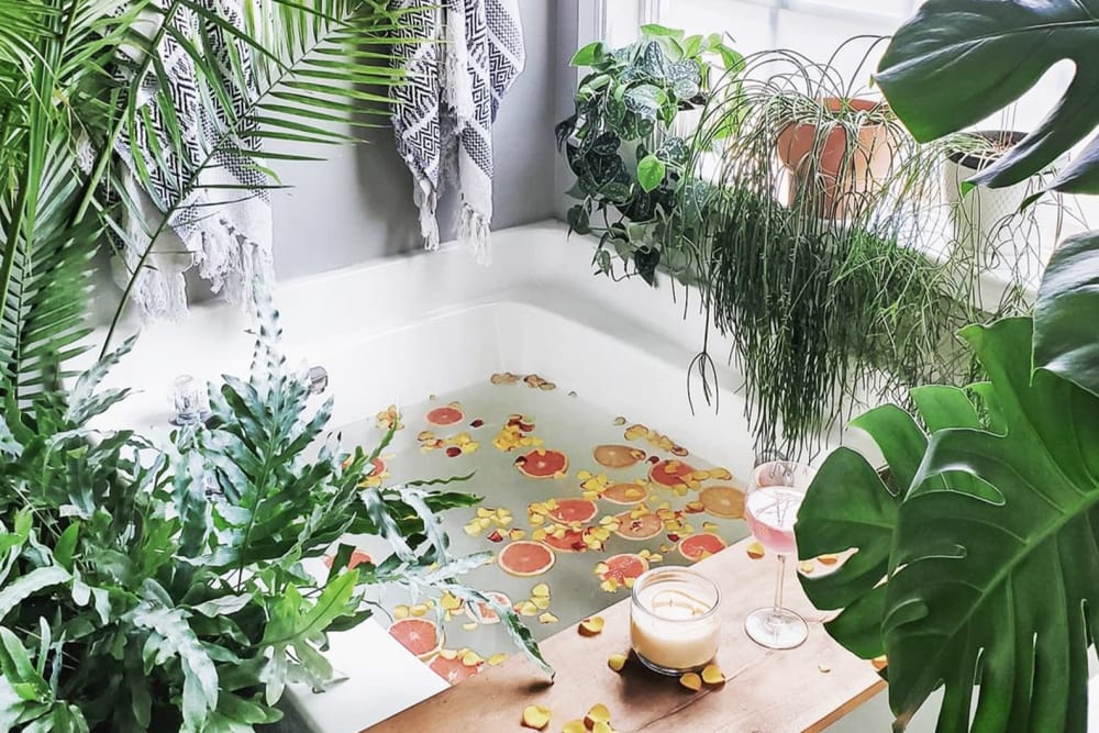 Bathtub filled with water and surrounded by plants