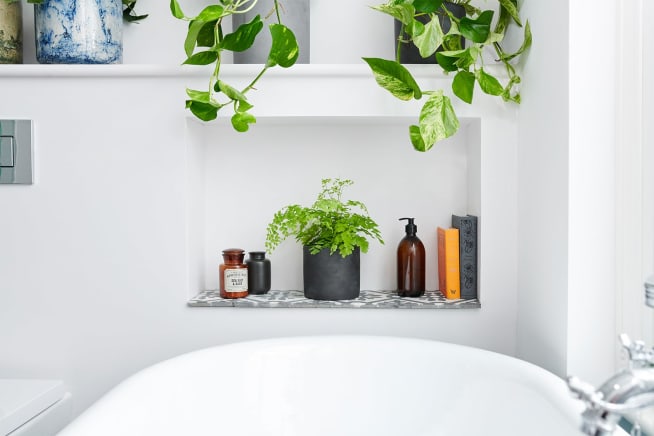 A maidenhair fern plant in a black concrete pot in a bathroom